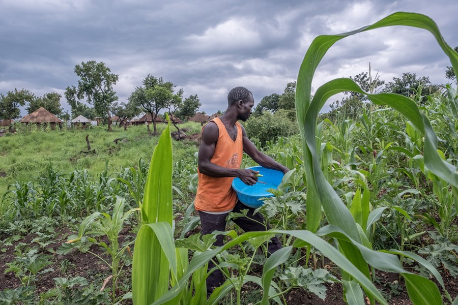 Förbättrat liv på landsbygden och säkrad tillgång till mat är fokus i Caritas Sydsudans program. Bild: Caritas Internationalis