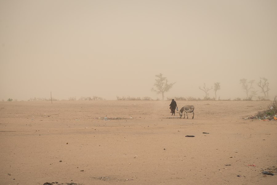 Torkan i Namibia slår hårt mot småbönderna.               Bild: Caritas Internationalis