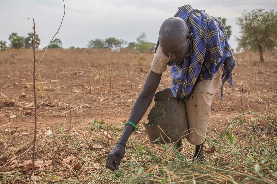 Vilda löv från bushen får dryga ut den knappa maten.                Bild: Caritas Internationalis